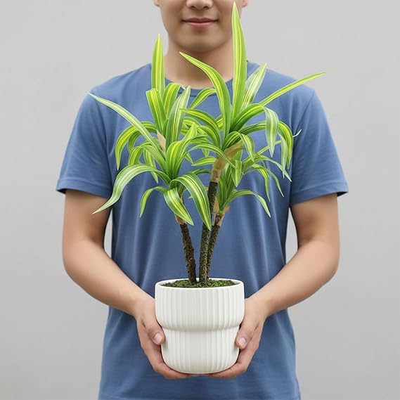 artificial potted plants, 45cm height faux dracaena fragrans massangeana plant with white pot home decor, indoor artificial ornamental plants for living room, office desk & bathroom, decorative artificial potted plants, 45cm height faux dracaena fragrans massangeana plant with white pot home decor, indoor artificial ornamental plants for living room, office desk & bathroom, decorative