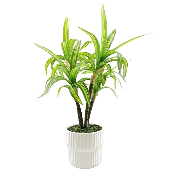 artificial potted plants, 45cm height faux dracaena fragrans massangeana plant with white pot home decor, indoor artificial ornamental plants for living room, office desk & bathroom, decorative artificial potted plants, 45cm height faux dracaena fragrans massangeana plant with white pot home decor, indoor artificial ornamental plants for living room, office desk & bathroom, decorative