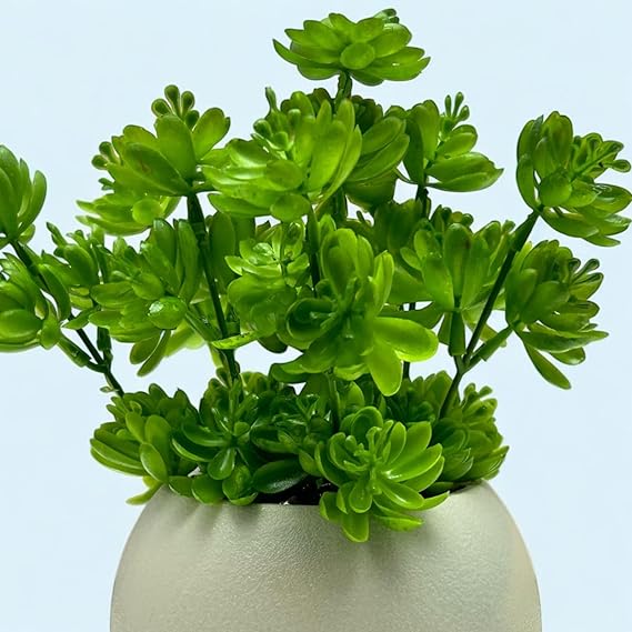 artificial green bonsai tree with stylish decorative pot for modern home, office desk & shelf decor | (bn 104) artificial green bonsai tree with stylish decorative pot for modern home, office desk & shelf decor | (bn 104)